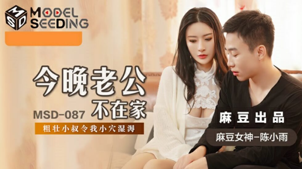 麻豆-今晚老公不在家-陈小雨}