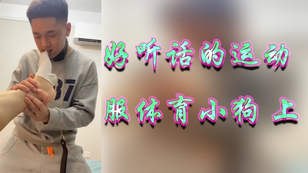 好听话的运动服体育小狗上}