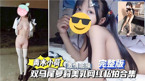 青木小荷双马尾萝莉美乳网红私拍合集}