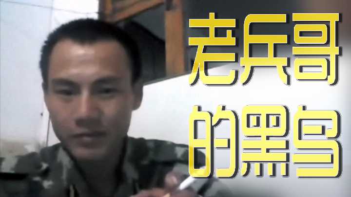 老兵哥的黑鸟}