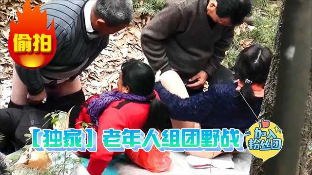 独家老年人组团野战被偷拍_z1tiktok}