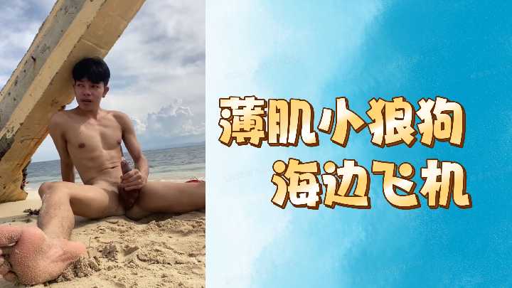 薄肌小狼狗海边飞机.}